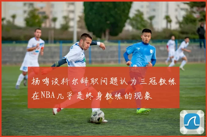 杨鸣谈科尔辞职问题认为三冠教练在NBA几乎是终身教练的现象