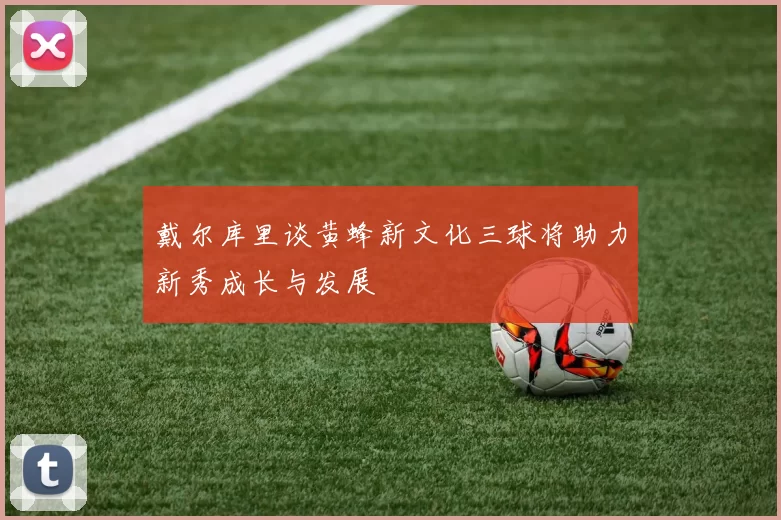 戴尔库里谈黄蜂新文化三球将助力新秀成长与发展